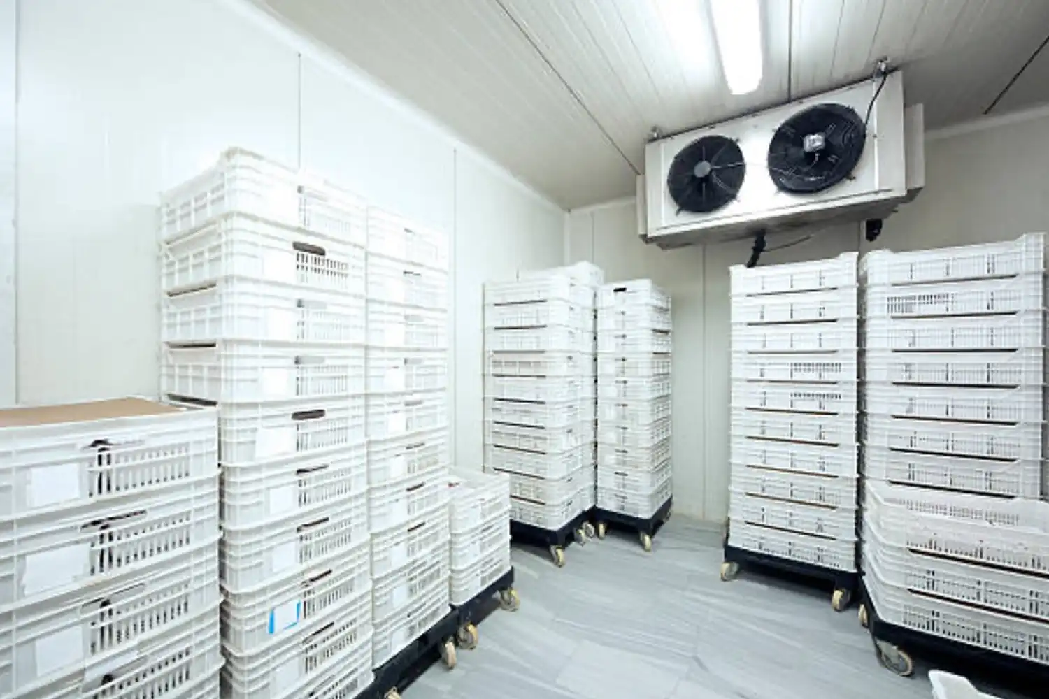 Cold Storage Image 1